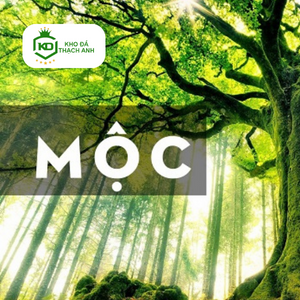 10 LOẠI ĐÁ PHONG THỦY MỆNH MỘC THU HÚT MAY MẮN