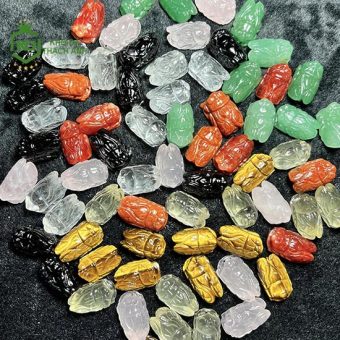 Mặt Đá Hình Ve Sầu