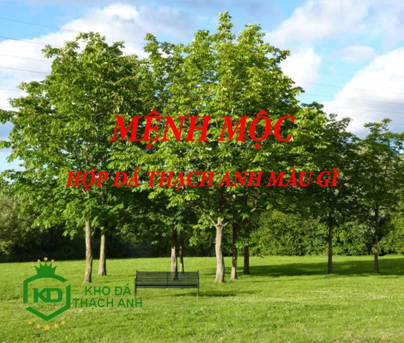 Mệnh Mộc Hợp Đá Thạch Anh Màu Gì?